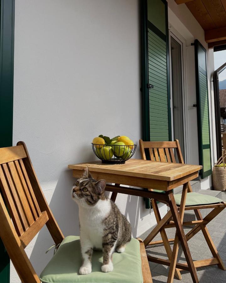 B&B La Casa Del Sole Ziano di Fiemme Εξωτερικό φωτογραφία